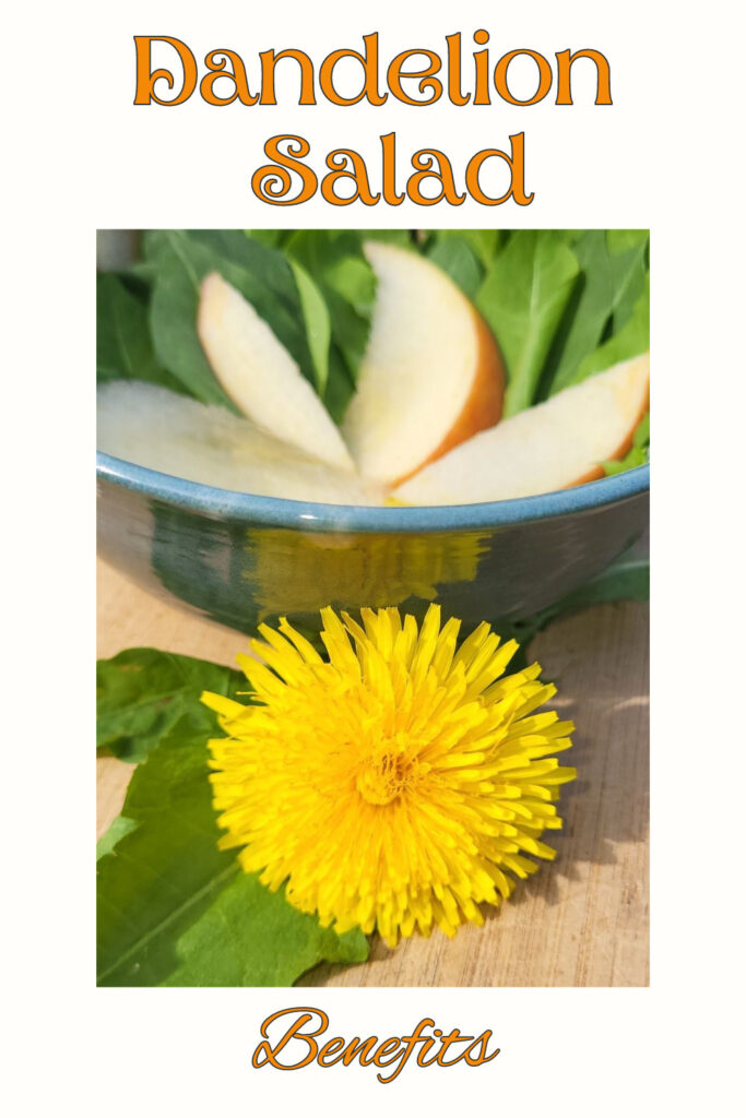 Dandelion Salad Benefits