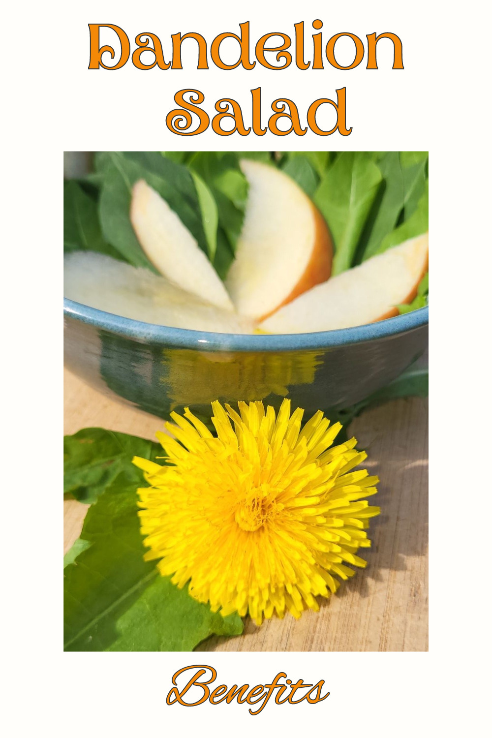 Dandelion Salad Benefits - Seen And Green